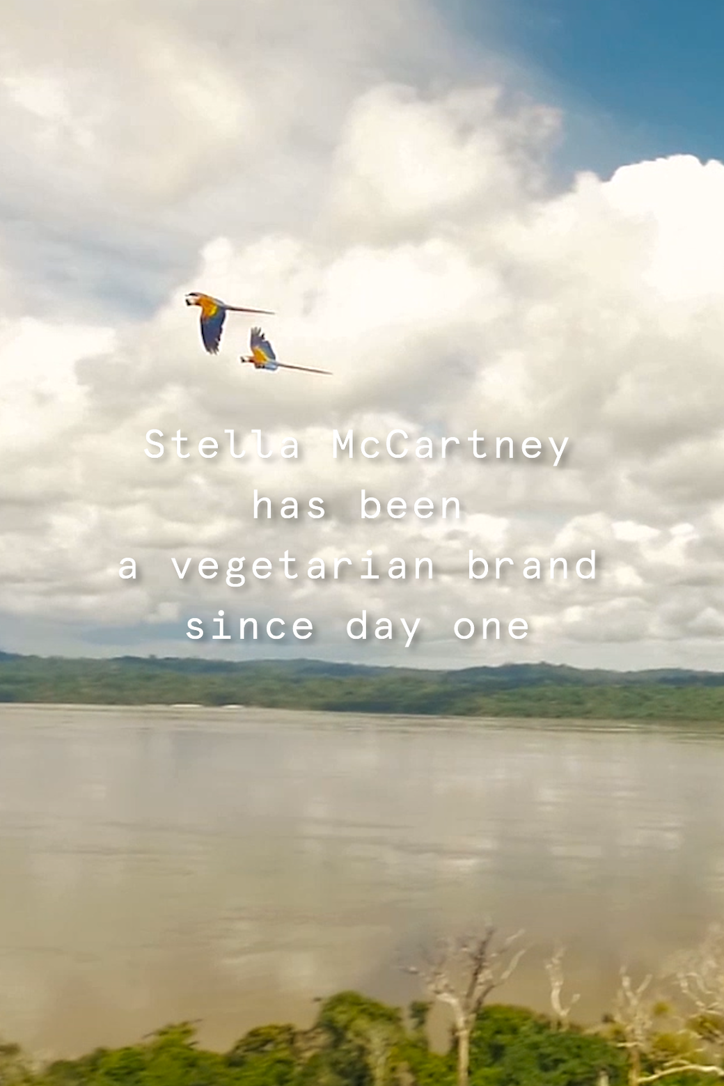 Stella McCartney's 2021 Greenpeace Collection Supports